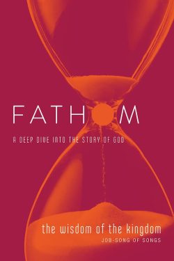 Fathom Bible Studies: The Wisdom of the Kingdom Student Journal (Job-Song of Songs) book cover
