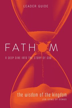Fathom Bible Studies: The Wisdom of the Kingdom Leader Guide (Job-Song of Songs) book cover